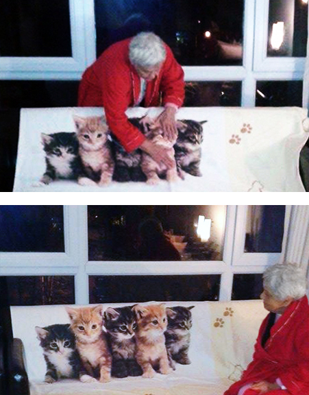 5 petits chats en couverture