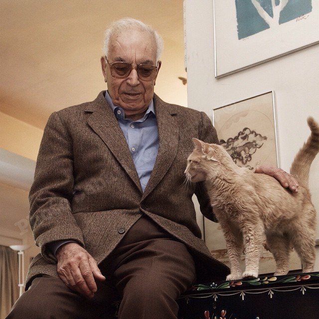 kedi yasar kemal