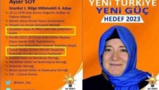 ayser-soy-akp-candidat-230x130
