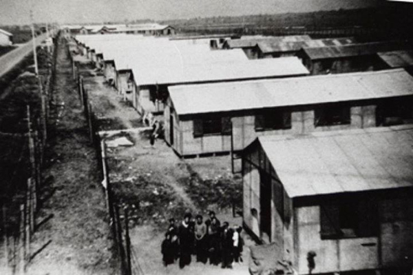 france-camp-tsigane-montreuil-bellay