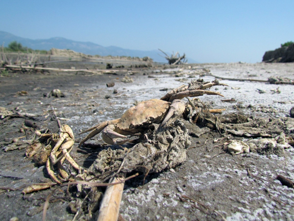 le-meandre-pollution-4