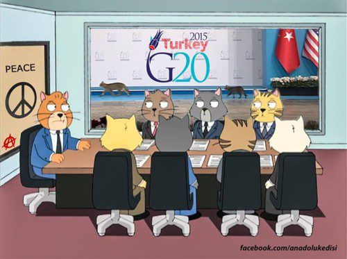 reunion-chats-paix-g20-anadolu-kedisi