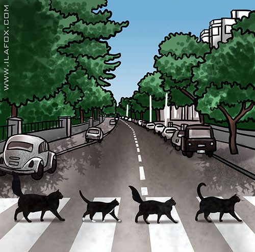 abbeyroad-cats