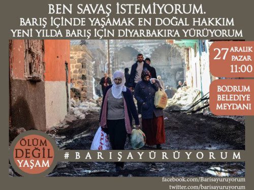 barisayuruyorum-affiche-1