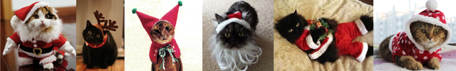 serial-xmas-cats chats