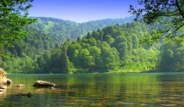 artvin cerattepe paysage