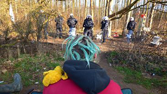 Hanbach Forest Sadik Celik 18