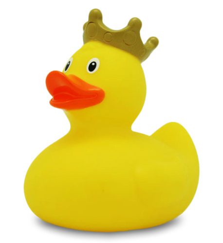 canard roi zoo