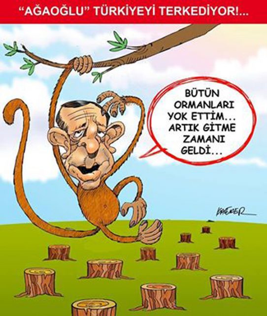 oznur kalender agaoglu construire