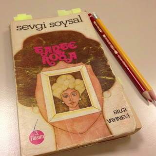 tante rosa sevgi soysal