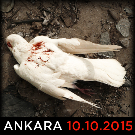 colombe-ankara-10-10-2016-image-mnof