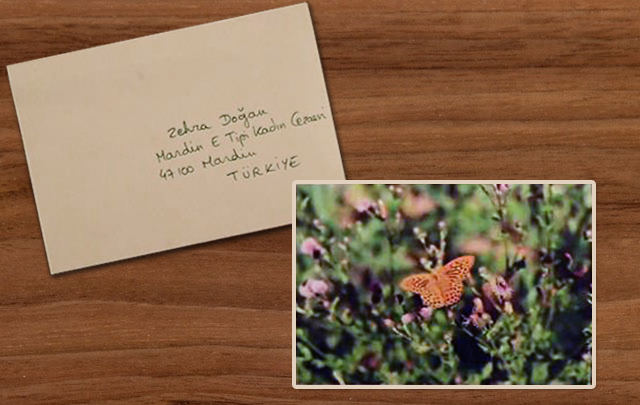 cartes-zehra-02-1