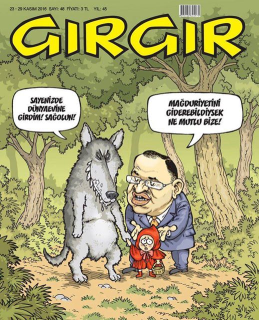 girgir-loi-viol