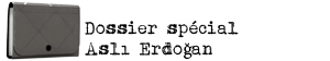 vignette-dossier-special-asli-erdogan