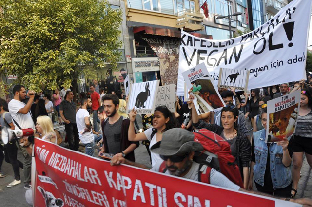 Yeşim Nurova