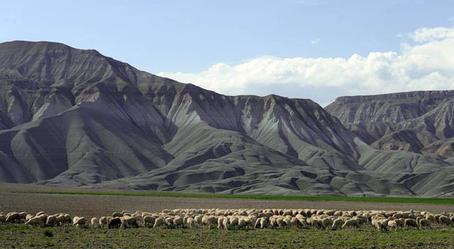 Nallıhan