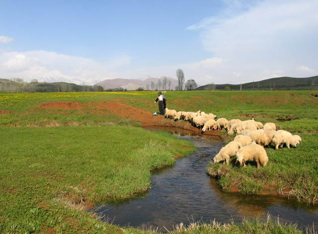munzur nehri 4 Munzur