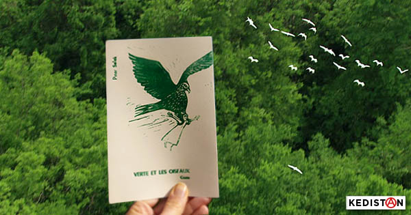 Livre : “Verte et les oiseaux” de Pınar Selek et Elvire Reboulet