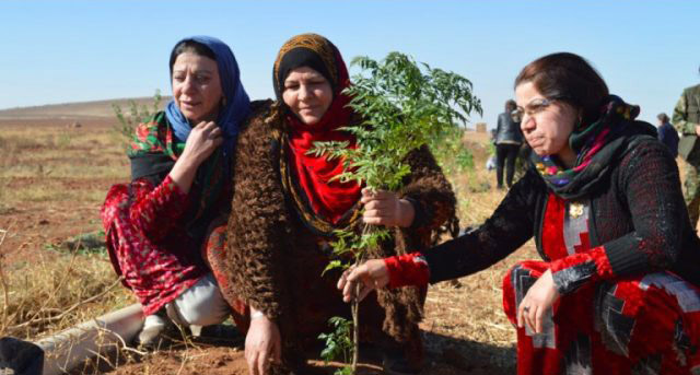 rojava femmes bure