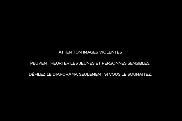 fatih pinar dargecit animaux avertissement