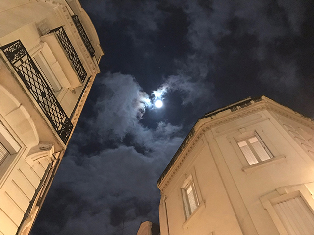 Lune Zehra Dogan 1019 01 20 Angers 2 Zehra Doğan