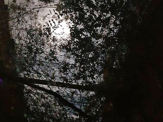 Lune Zehra Dogan 1019 01 20 Zurich