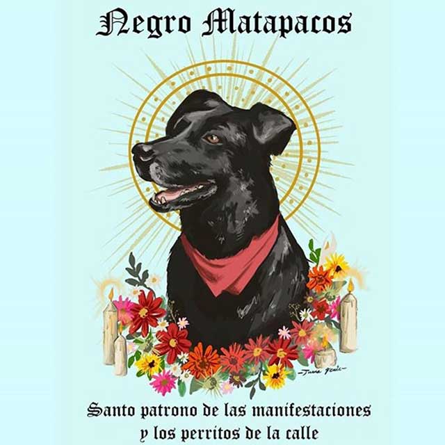 matapacos-8 matapacos