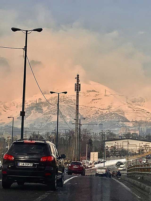 tehran titi robin