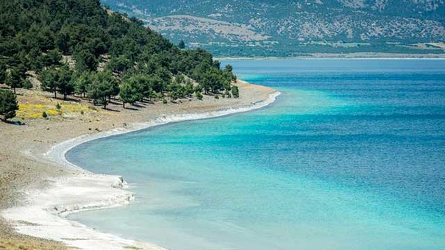 lac salda