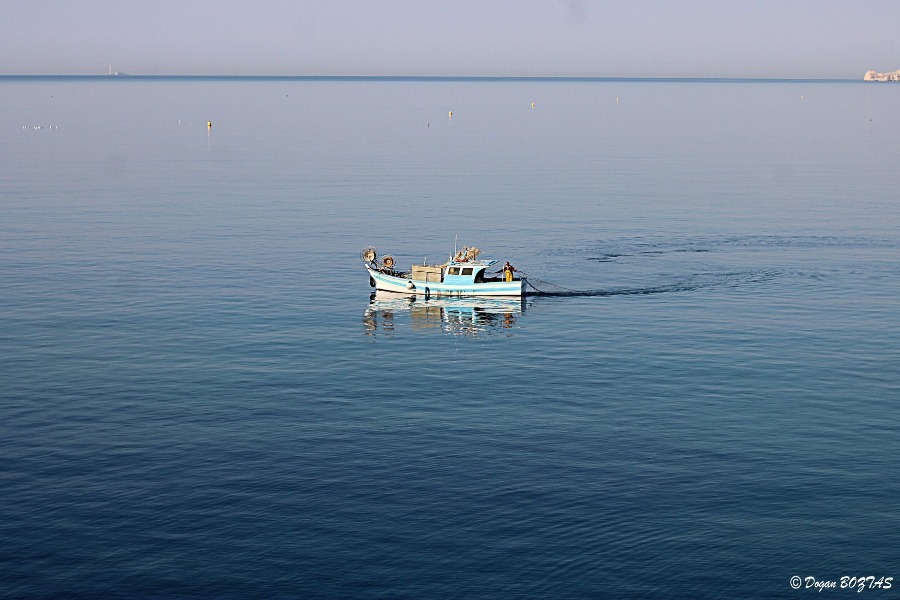 Dogan Boztas