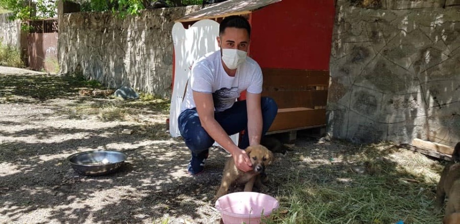 White Paws 1 White Paws Dersim