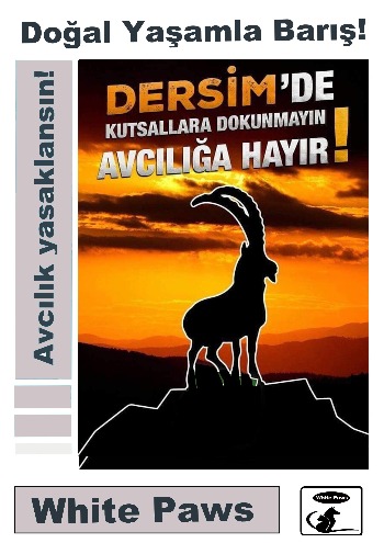 White Paws Dersim