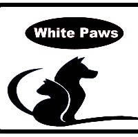 White Paws - Stray Help Dersim