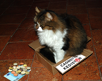 cagnotte kedistan