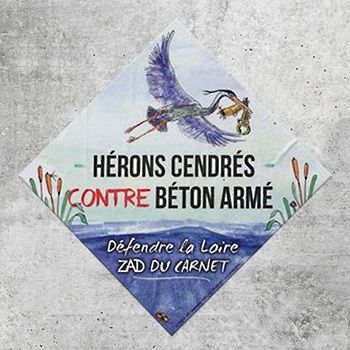 carnet zad