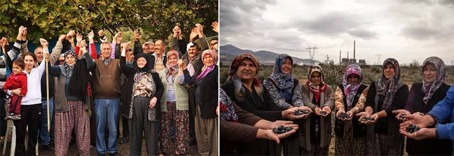 yirca turkiye kadinlar