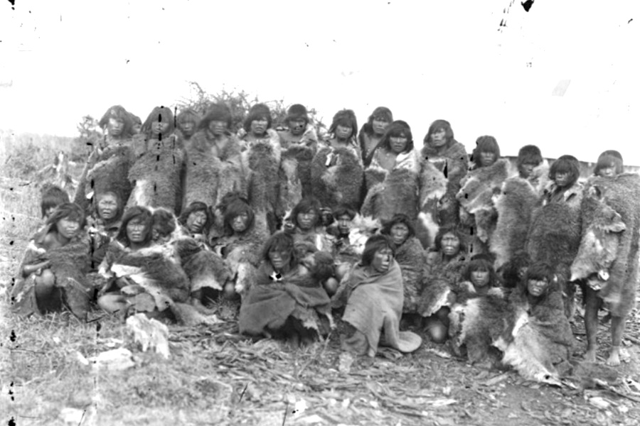 selkman 1 mapuche